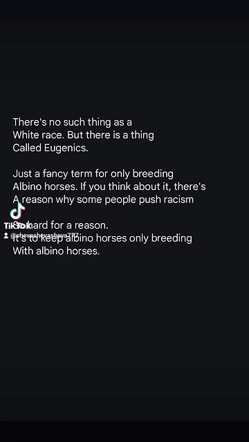 🎠 not a horse race, not a dog race, but a human race. stop running