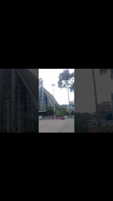 alimentando os pombos na praca pt11 #shorts