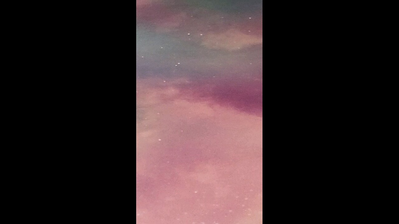 The Vortex