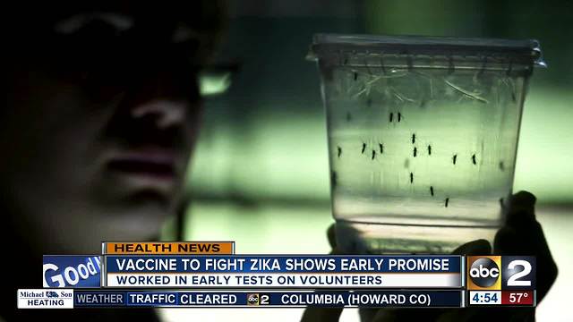 New Zika vaccine showing signs of success