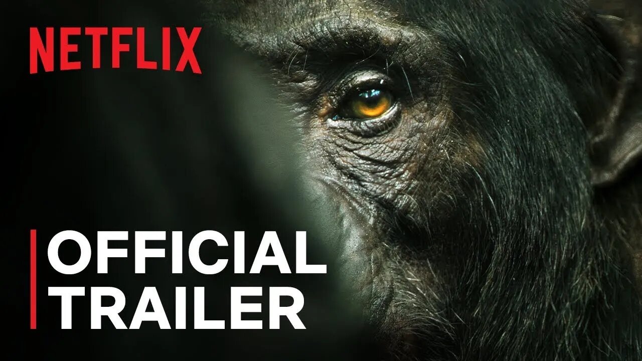 Chimp Empire Official Trailer