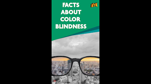 Top 4 Facts About Color Blindness *