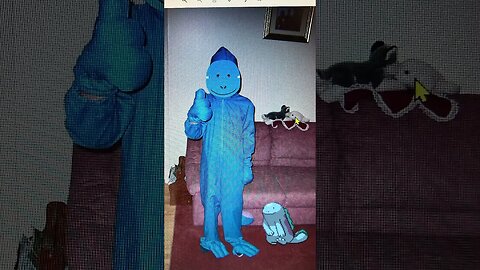 My Quagsire Pokemon Halloween Costume as a kid