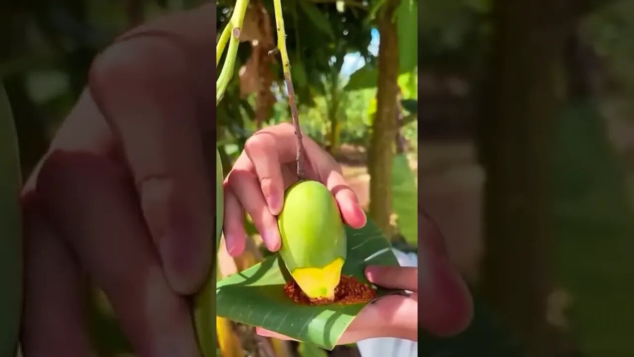 back to nature