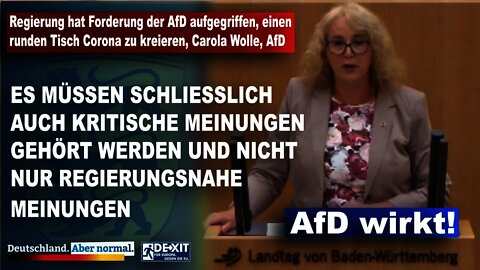 Regierung hat Forderung der AfD aufgegriffen einen runden Tisch Corona zu kreieren Carola Wolle AfD