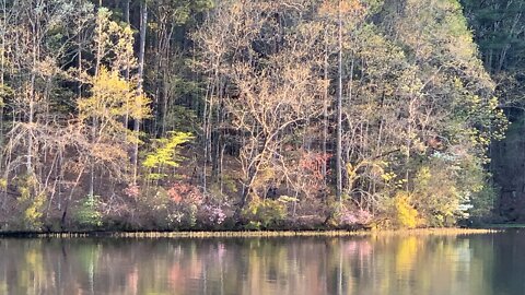 Wonderful colors on the far banks of Sulfer branch