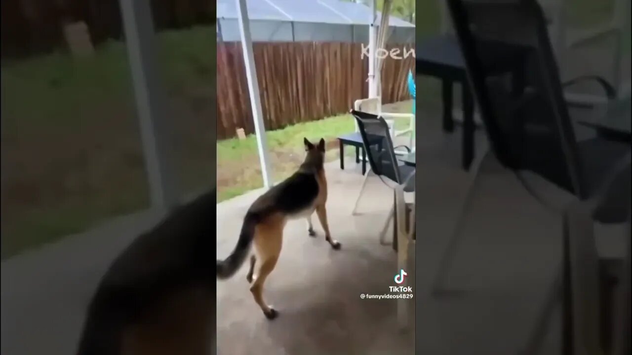 🤣🤣🤣🤣🤣