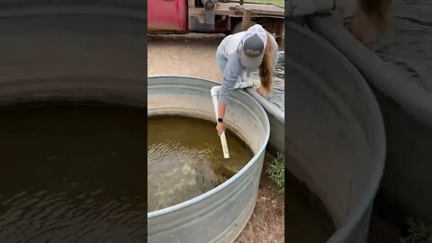 How people get these good ideas! THANKS ma'am! Video By toriselzer #Shorts