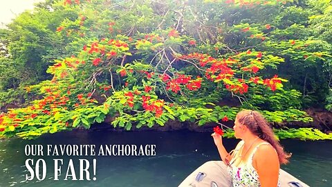 Secluded Anchorage In Grenada 🇬🇩