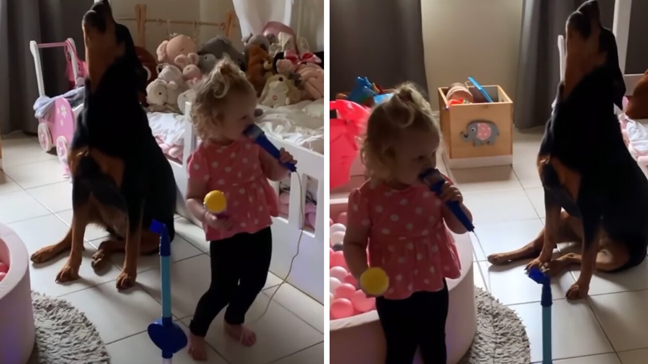 Toddler And Rottweiler Sing Epic Duet Together