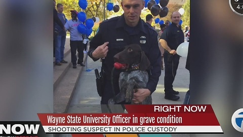 Wayne State University police officer in 'grave' condition, on life support after shooting