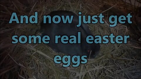 FilaMaker easter holiday special