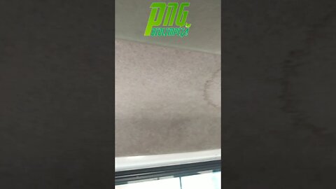 Usando Extratora e Escova Rotativa no Teto