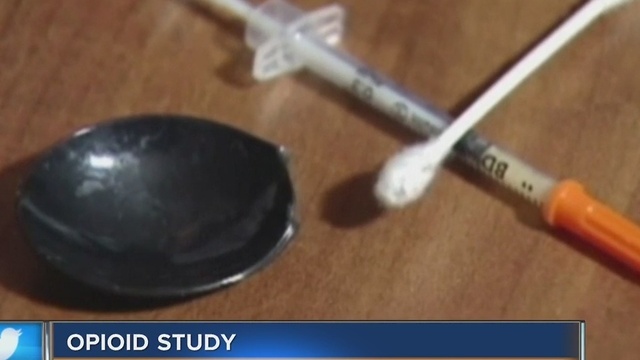 Medical College of Wisconsin team studying opioid crisis