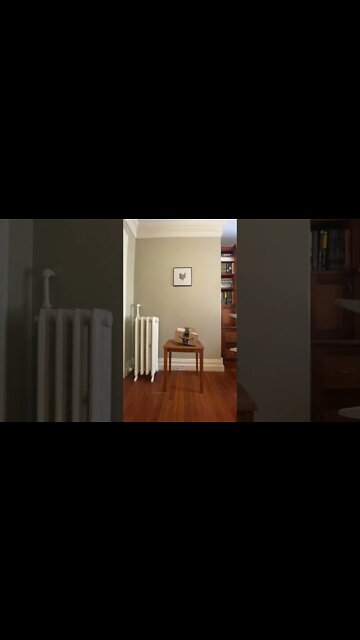 Most Amazing and trending video||relaxing your mind||trendig videos|| #shorts #trending #viral #live