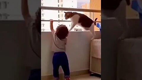 Kitty Babysitter