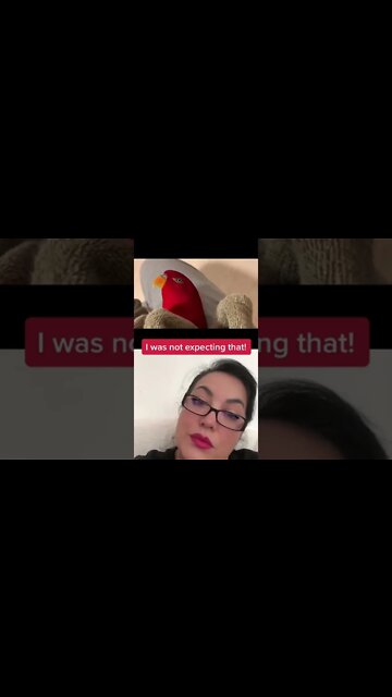 Utsumi #redbirb what on earth! I was NOT expecting that 🤣 #crazybird #funnyduet #saywhat #business