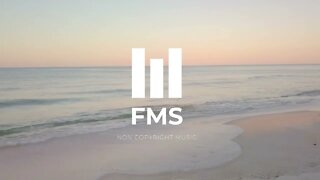 FMS - Free Non Copyright EDM Music #023