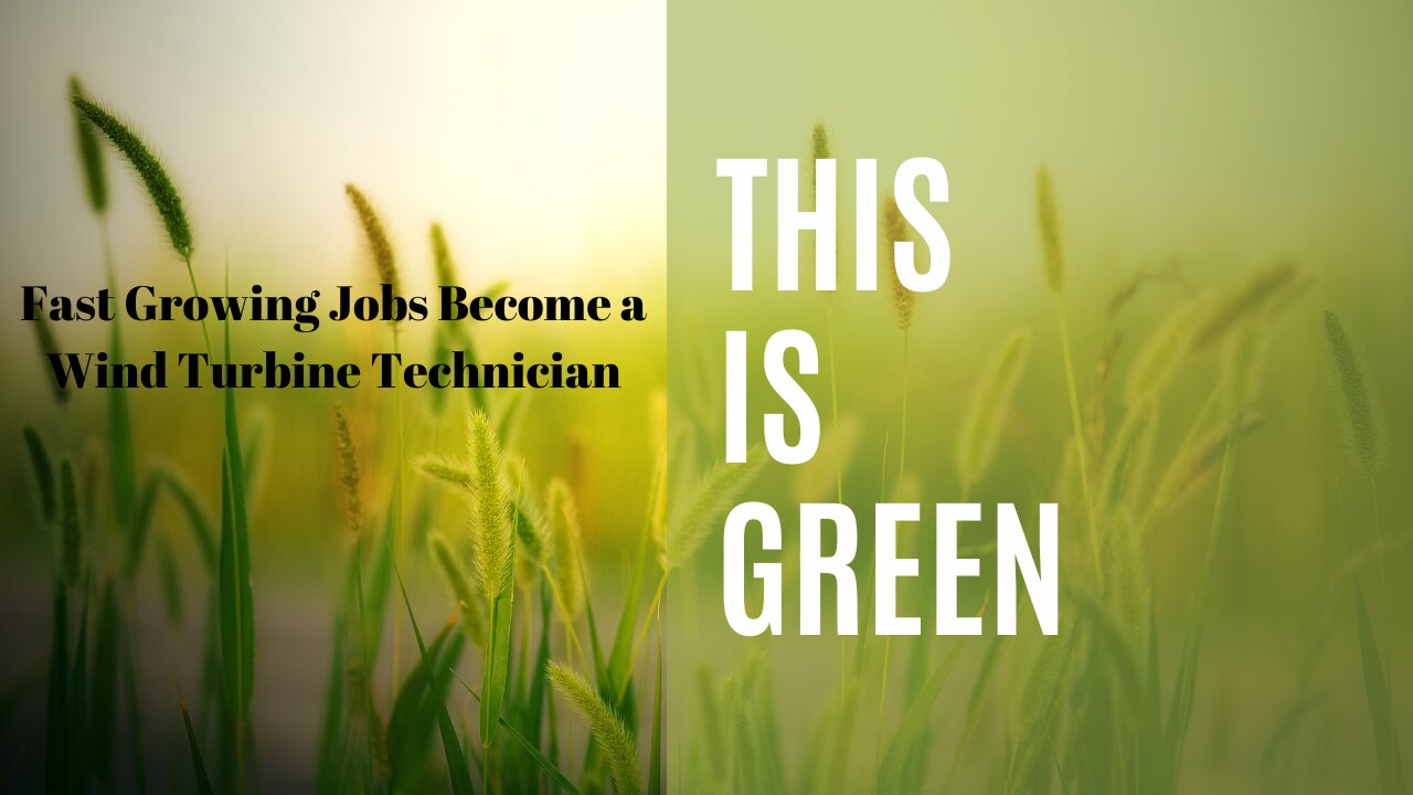 So you wanna be a Wind Turbine Technician?