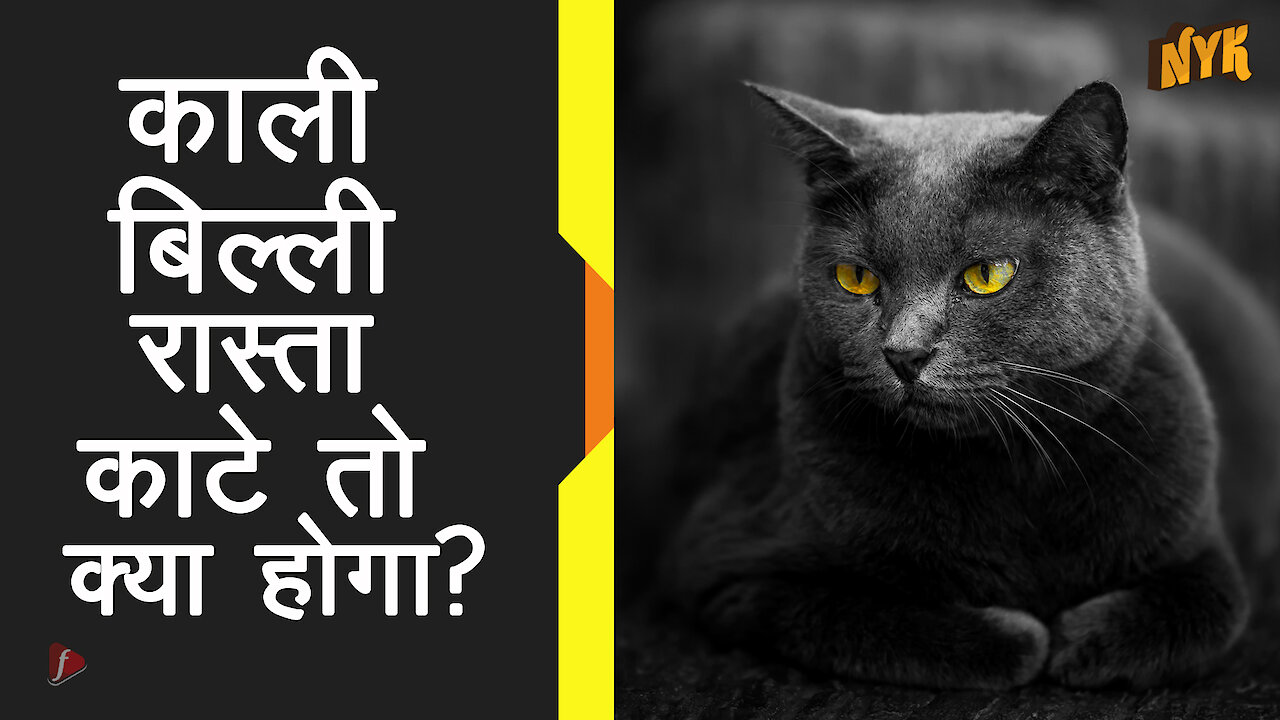 काली बिल्लियो से जुड़े कुछ अंधविश्वास