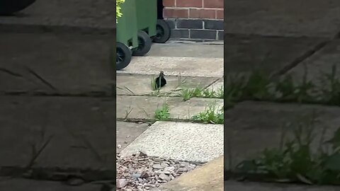 #veiws_viral_video_subscribers_grow #subscribe