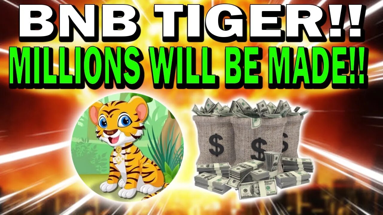 BNB TIGER HOLDERS!! THIS IS YOUR LAST CHANCE FOR MILLIONS!! *URGENT!!*