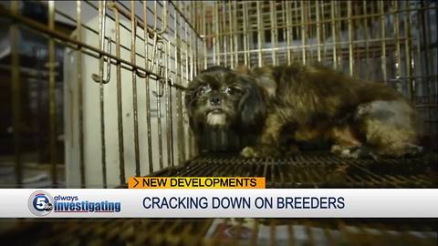 Ohio legislators crack down on puppy mill problems