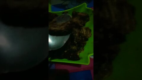 MAKANAN APA INI