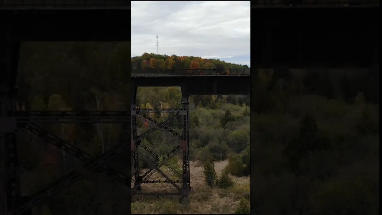 Kawartha Trans Canada Trail Doube's Trestle Bridge #shorts #shortsvideo #hiking