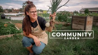 Community Gardening Creating a Grower's Paradise | PARAGRAPHIC