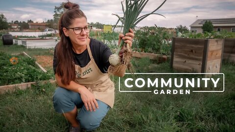 Community Gardening Creating a Grower's Paradise | PARAGRAPHIC