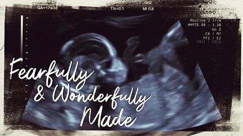 Fearfully and Wonderfully Made - Advance Screening, Sunday December 4, 2022