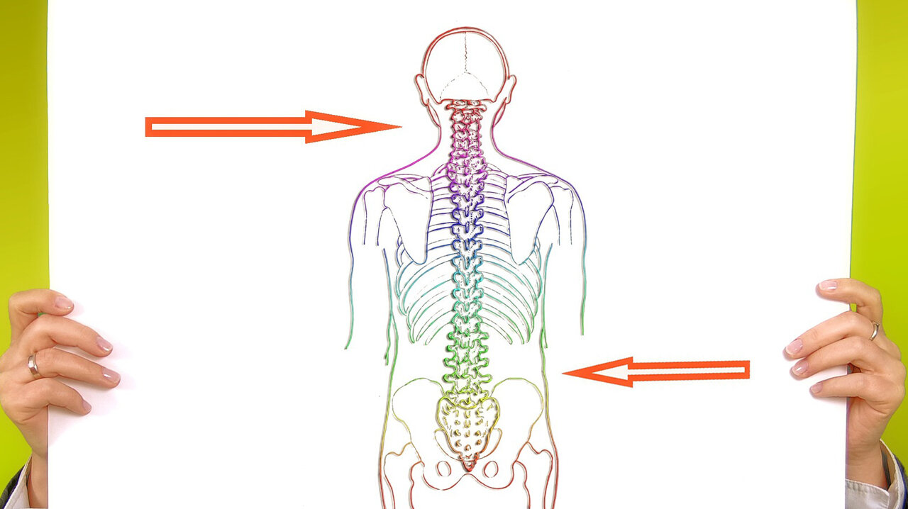 AA-Find Your Spine