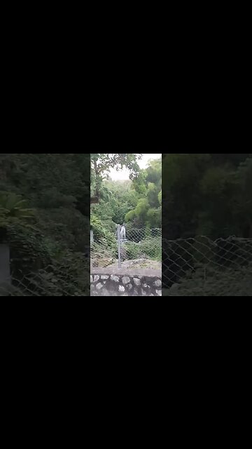 Blue mountain In Jamaica