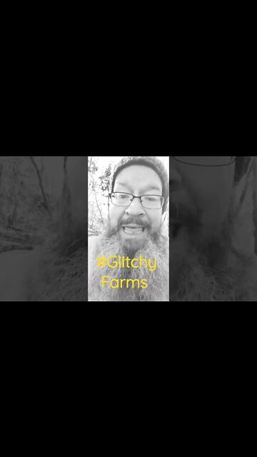 who stole my lighter