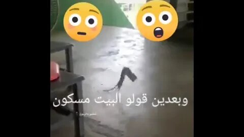 الفار البهلوان في البيت المسكون