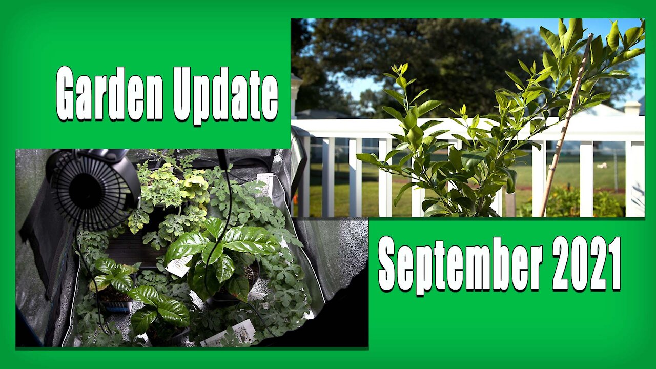 outdoor and Indoor Garden Tour and Update September 2021