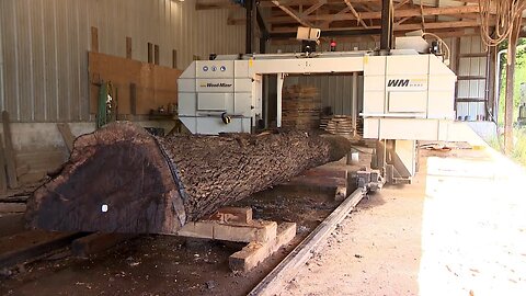 Storm Debris Used to Create Furniture