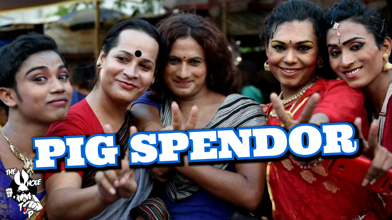 the Whole Tip Daily - PIG SPENDOR