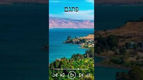 Adágio | פתגם | #shorts #shortsvideo #shortsyoutube