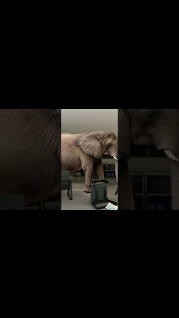 DAILY FAIL!! #inspirednewsroom #shorts #truth