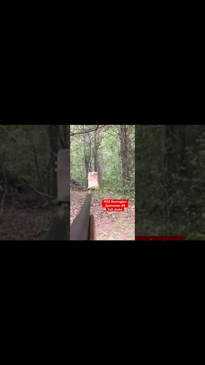 1952 Remington Sportsman 48 - Full Choke At 25 Yards #trending