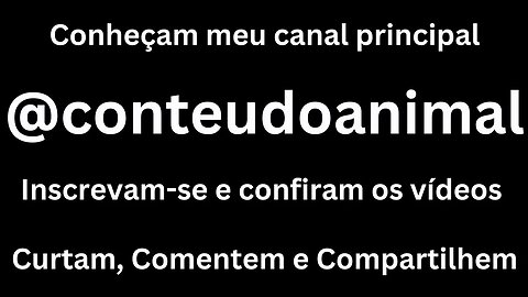 Conheçam meu canal principal @conteudoanimal, se inscrevam