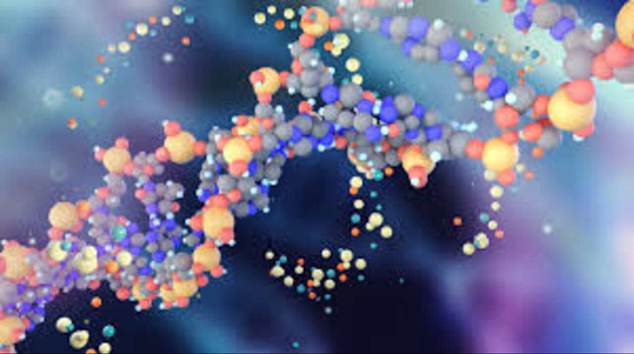 Part 1: Timeline Wars. Speaking to the Cells & DNA.