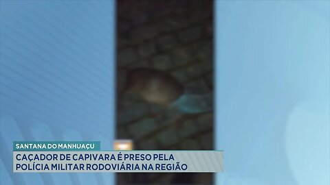 Santana do Manhuaçu: Caçador de Capivara Preso pela Polícia Militar Rodoviária na Região.