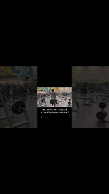 ⚔️ Are you a Wanderer or a Warrior ⚔️