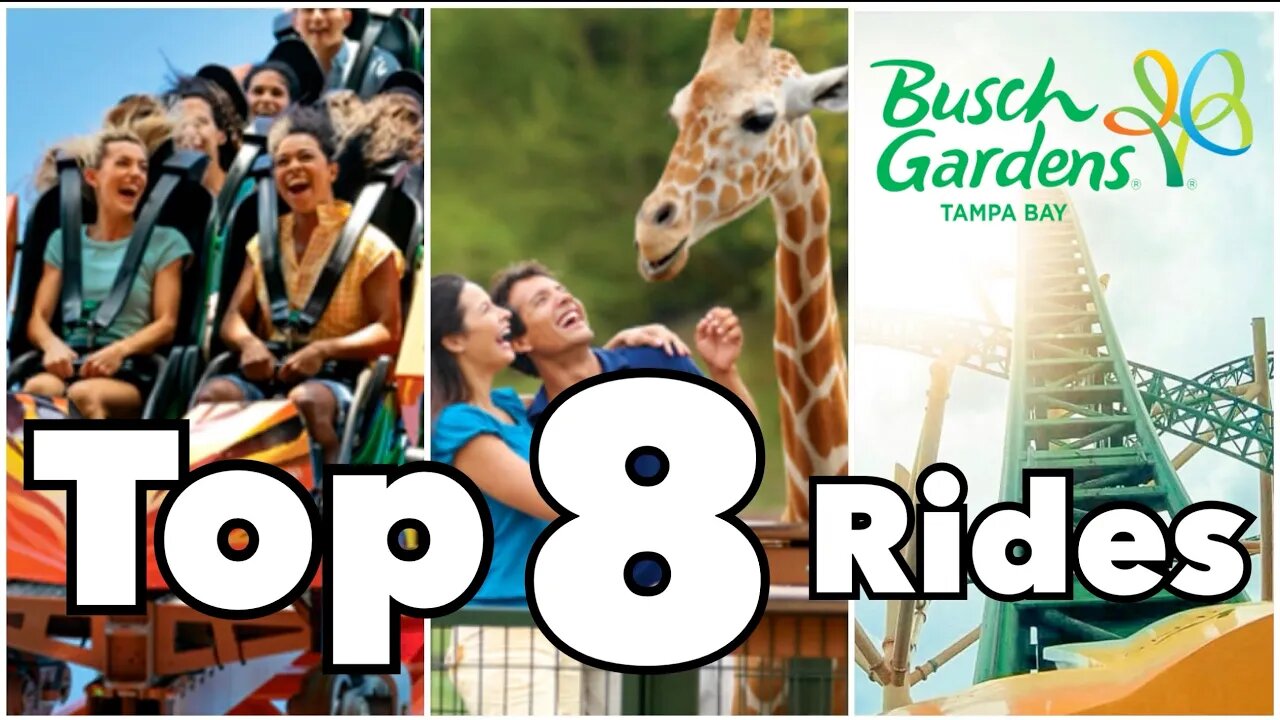 Top 8 Busch Gardens Rides | Tampa, FL