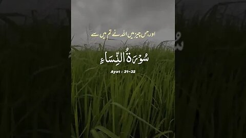 Surah Nisaa Ayaat no