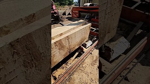 Oregon White Oak on the Sawmill #short #shorts #woodworking #wickedwoodsnwllc #woodshop #wood