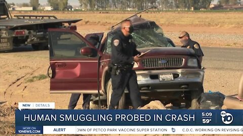 Human smuggling probed in crash